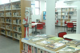 Biblioteca Pública Municipal Alfonso Carrión Biblioteca Pública Municipal Alfonso Carrión